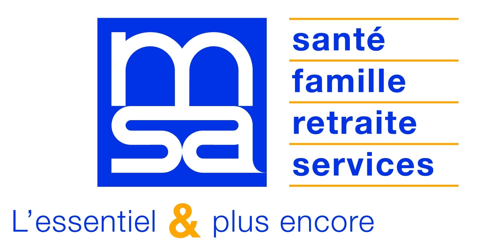 bm msa